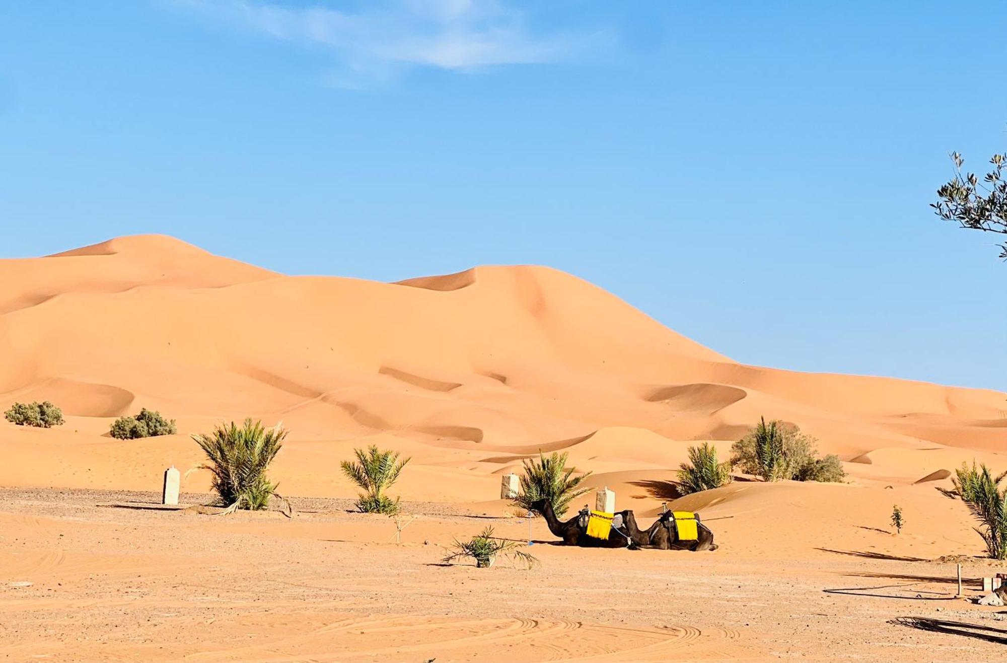 Hotel Camping Les Roses Des Dunes & Piscine Мерзуга Экстерьер фото